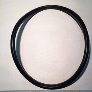 10,000-077 PACKING SEAL RING 404154